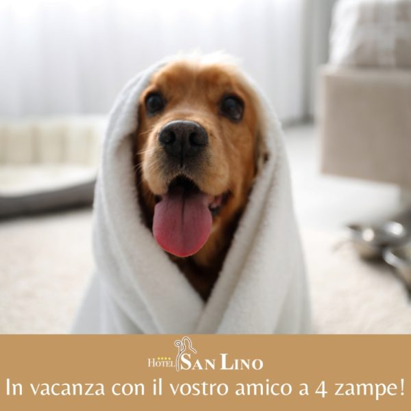 Hotel Pet Friendly Volterra - Hotel San Lino