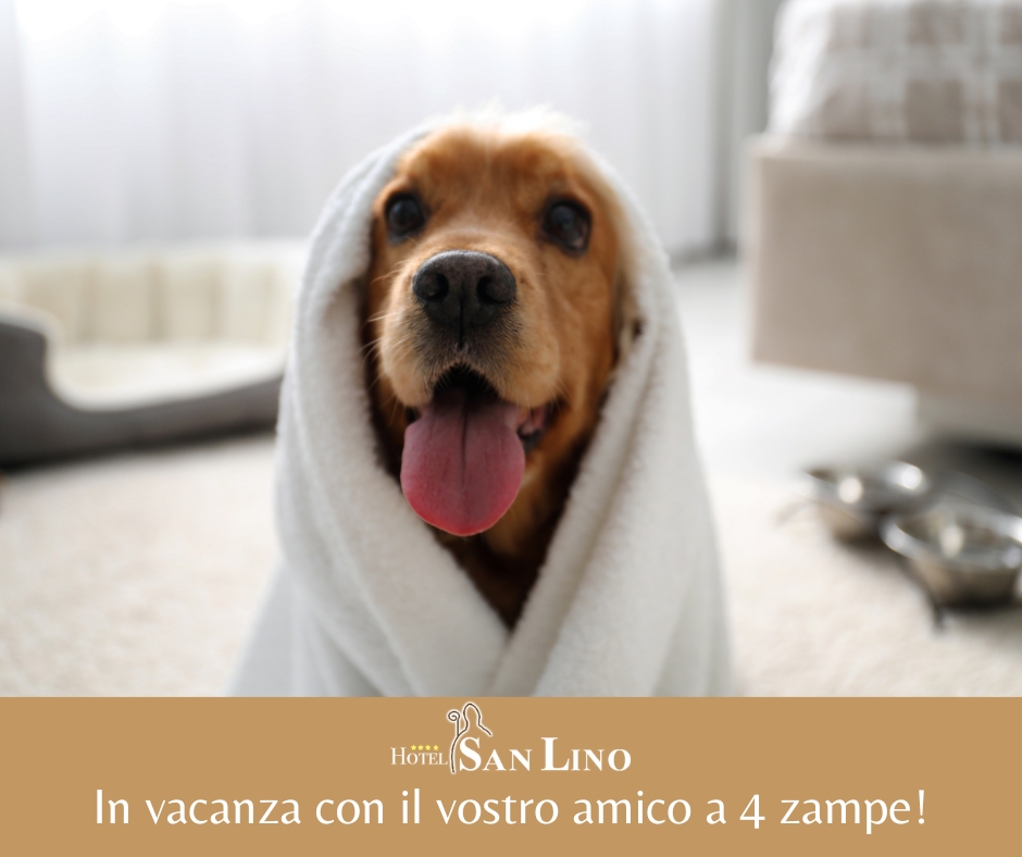 Hotel Pet Friendly Volterra - Hotel San Lino