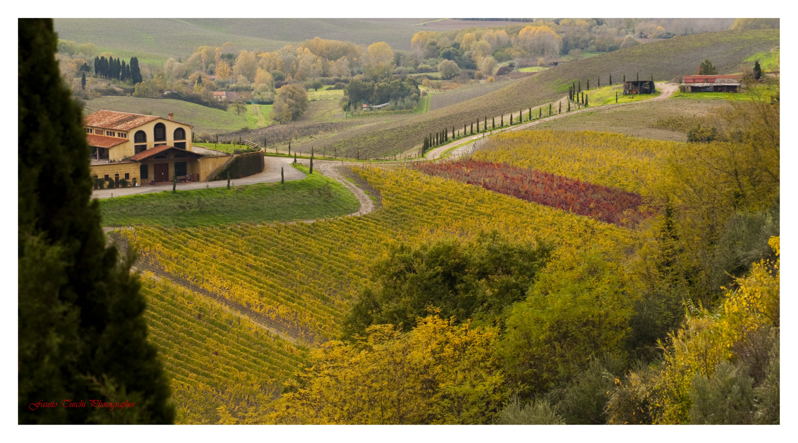 Weekend Enoturismo Toscana - Vigne autunno Terricciola, soggiorno Hotel San Lino